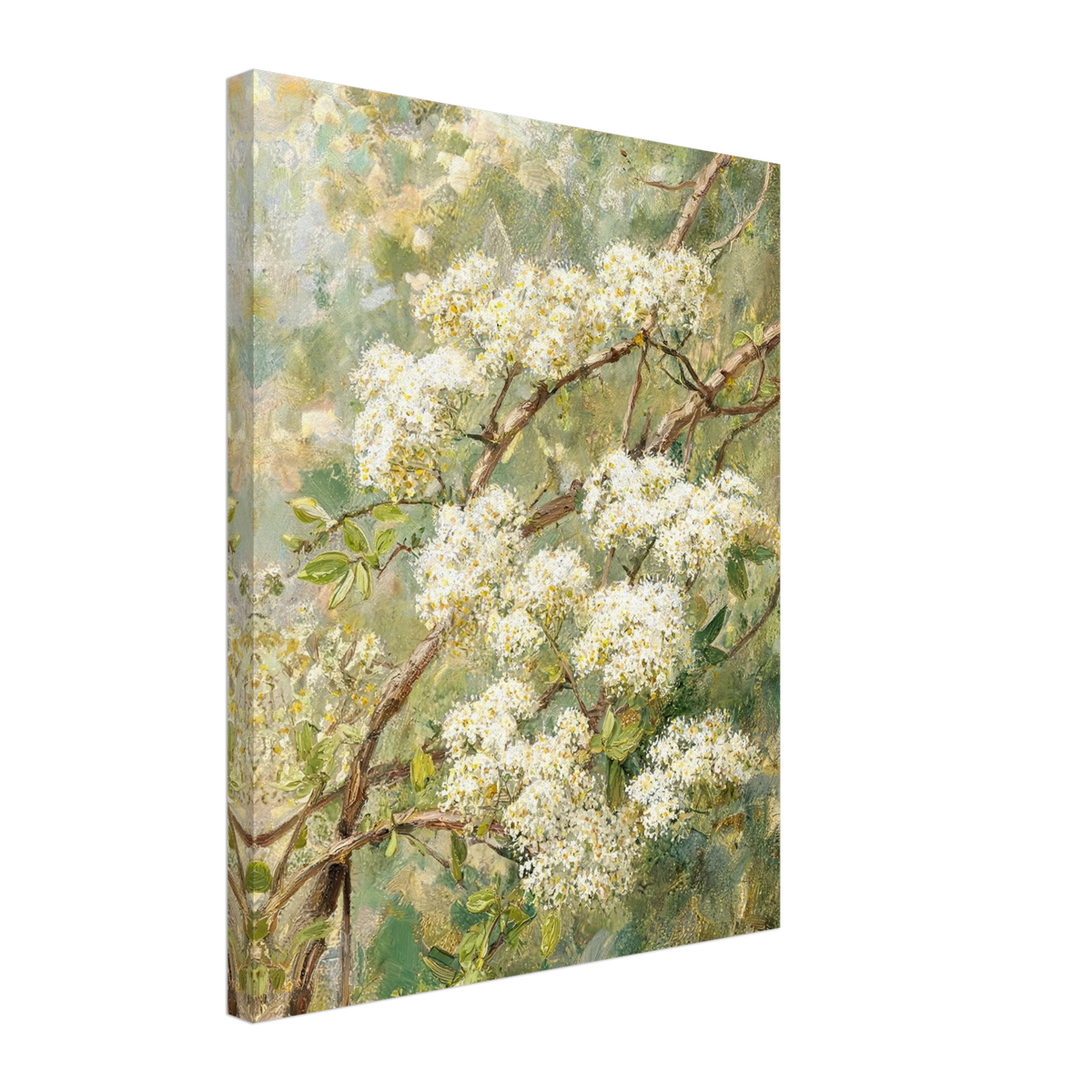 Canvas print of an Impressionist white blossom branch with enhanced texture for an immersive fine art wall experience.
