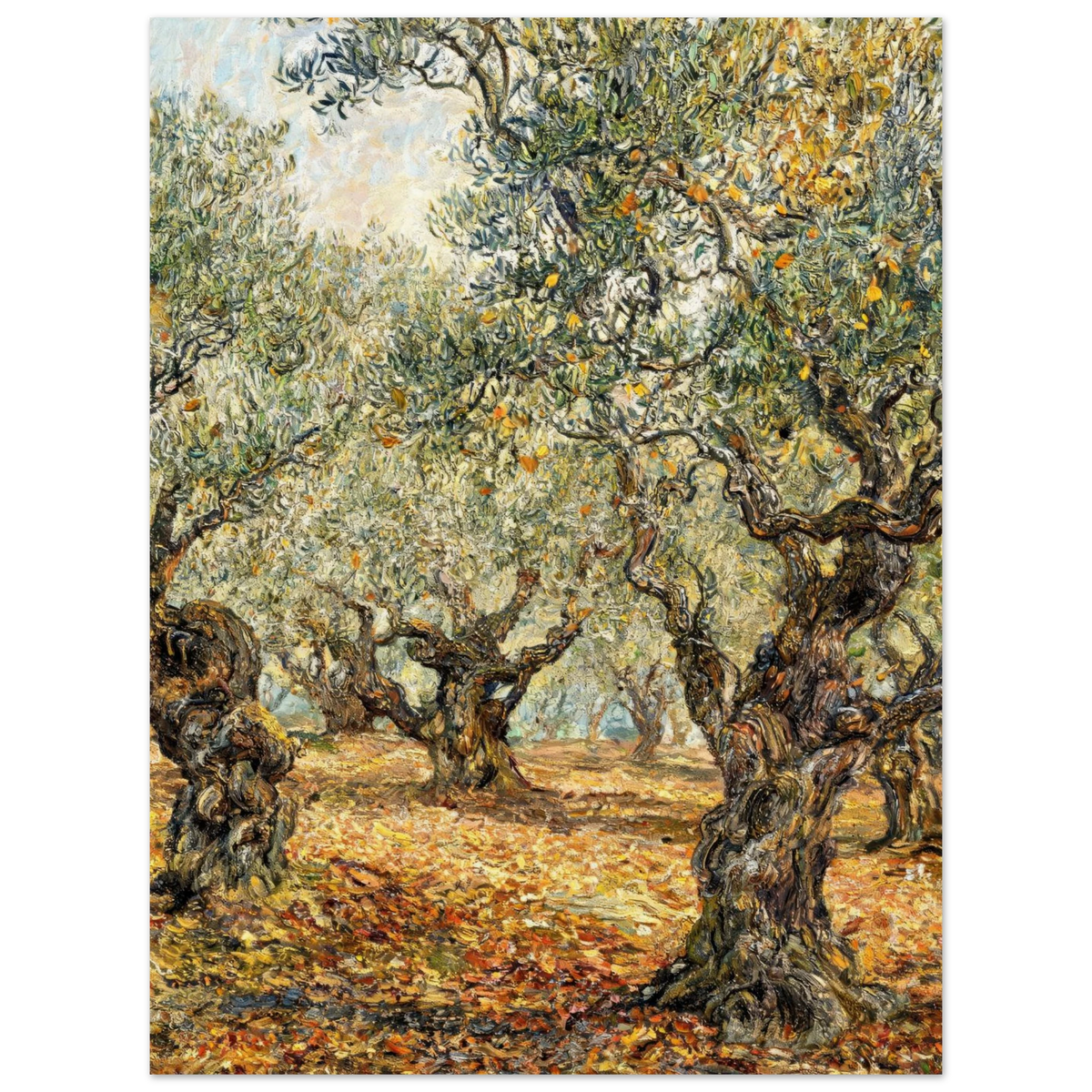 Impressionist-style painting of an olive grove with gnarled olive trees, green and yellow foliage, and a sunlit ground covered with fallen leaves, shown as a vertical artwork centered on a white background.
