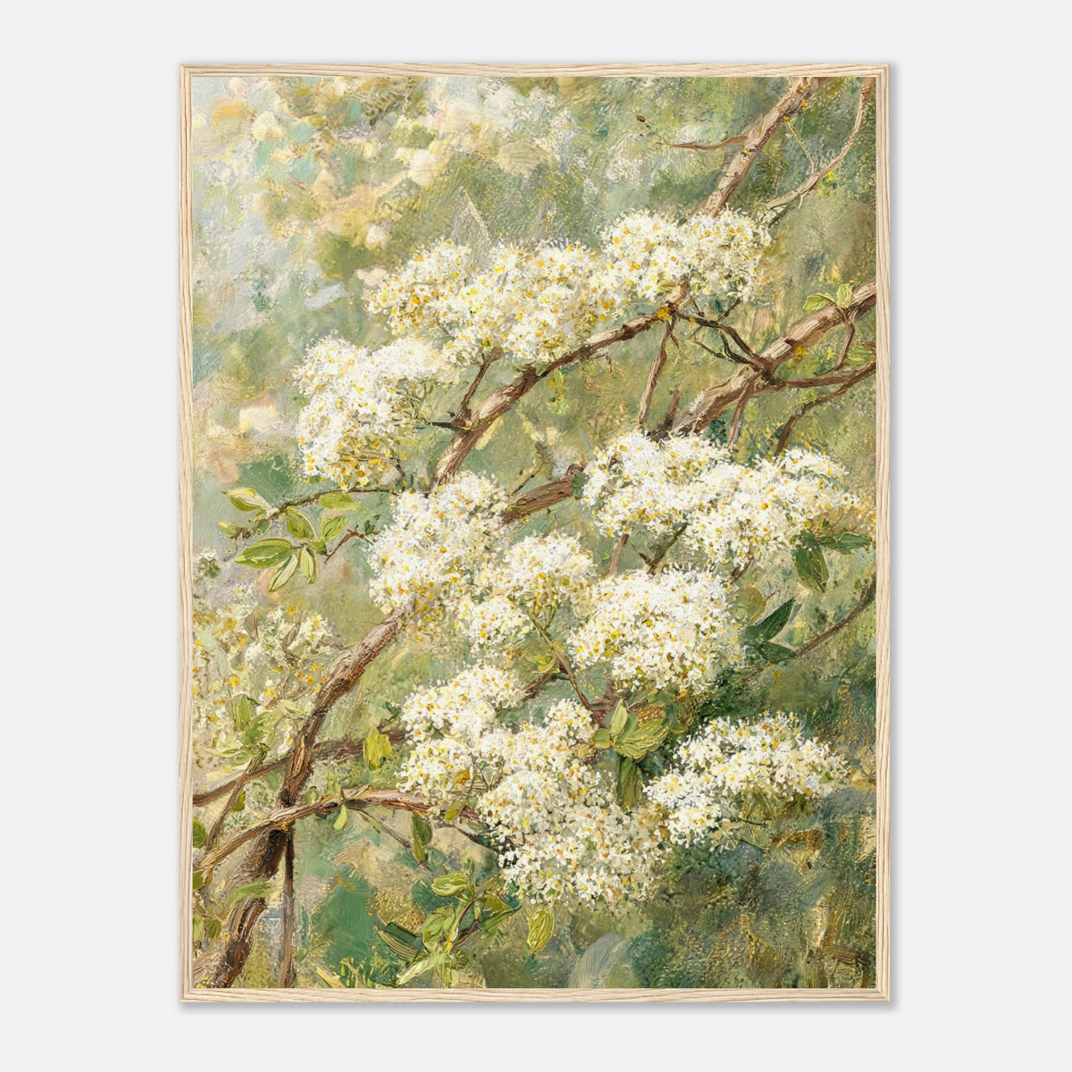 Blooming White Blossoms & Woodland Branches Impressionist Art Print