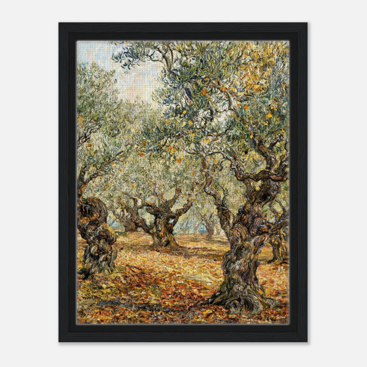 Sunlit Olive Grove Impressionist Art Print