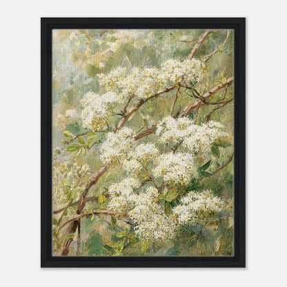 Impressionist White Blossom Branch Framed Canvas Wall Art