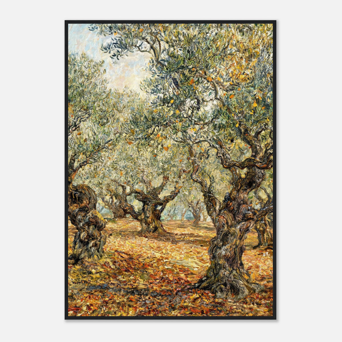 Sunlit Olive Grove Impressionist Art Print