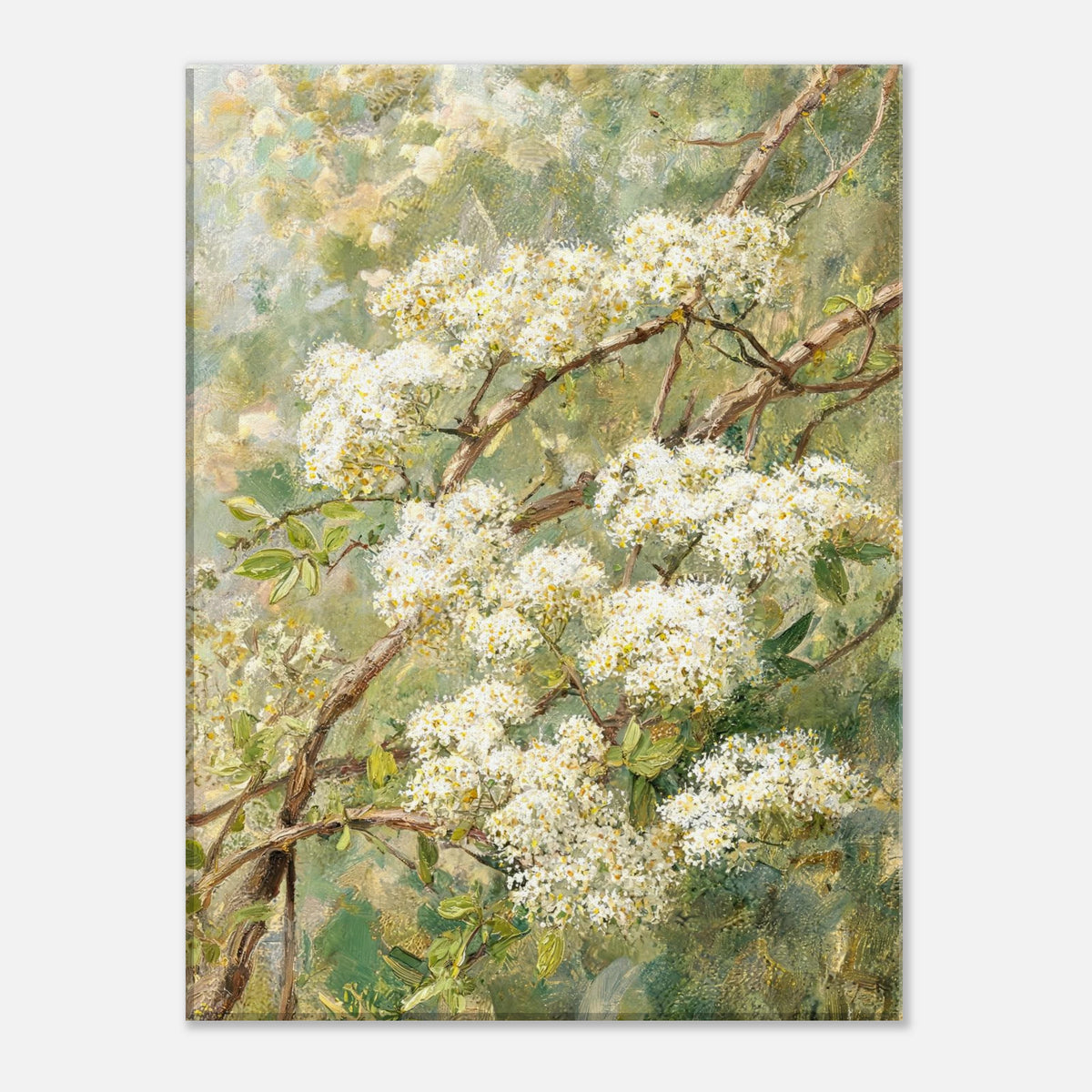 Blooming White Blossoms & Woodland Branches Impressionist Art Print