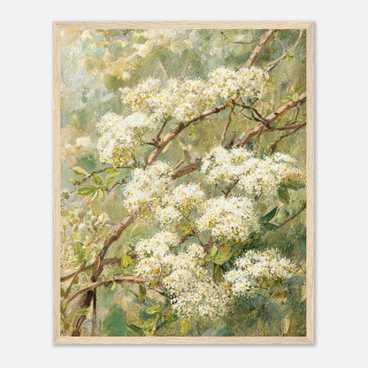 Impressionist White Blossom Branch Framed Art Print