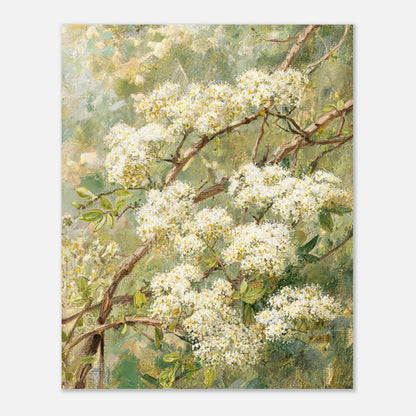 Blooming White Blossoms & Woodland Branches Impressionist Art Print