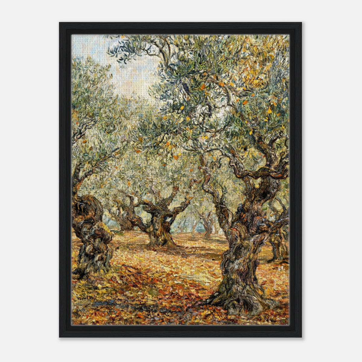 Sunlit Olive Grove Impressionist Art Print
