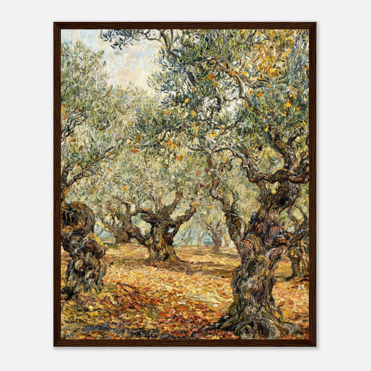 Sunlit Olive Grove Impressionist Art Print