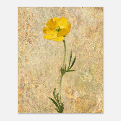 Solitary Yellow Wildflower Impressionist Art Print