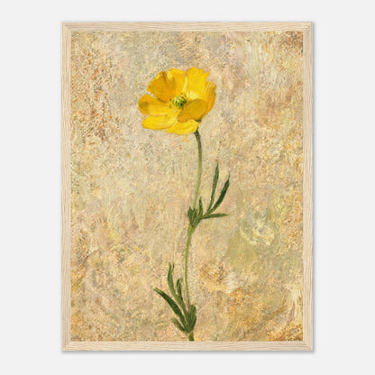 Solitary Yellow Wildflower Impressionist Art Print