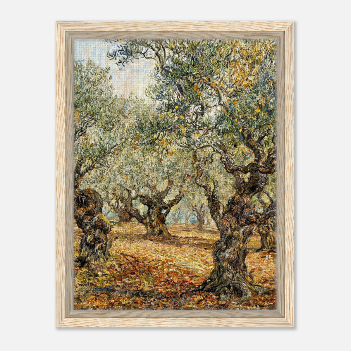 Sunlit Olive Grove Impressionist Art Print