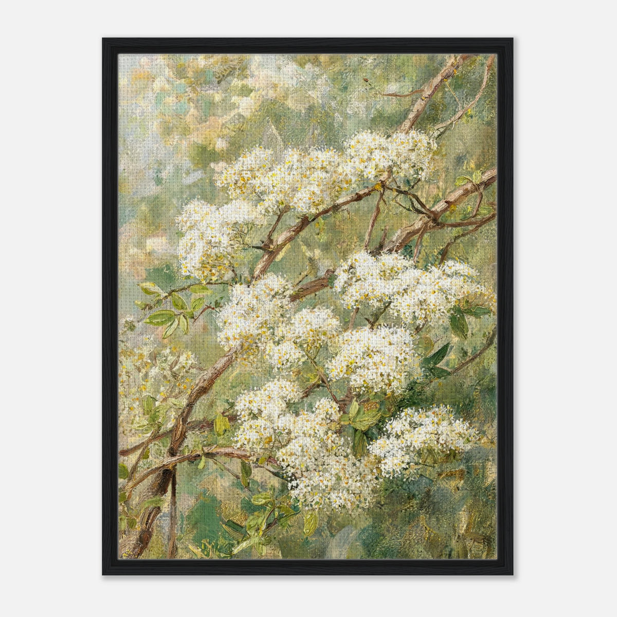 Blooming White Blossoms & Woodland Branches Impressionist Art Print