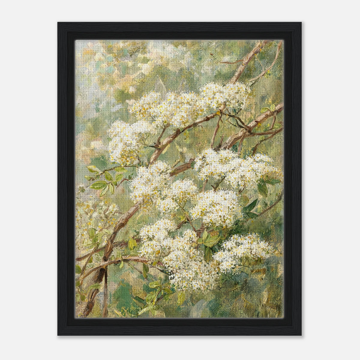 Blooming White Blossoms & Woodland Branches Impressionist Art Print