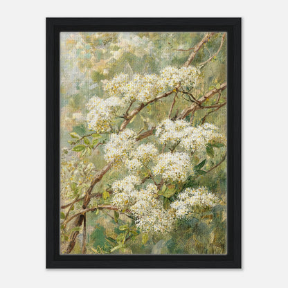 Blooming White Blossoms & Woodland Branches Impressionist Art Print
