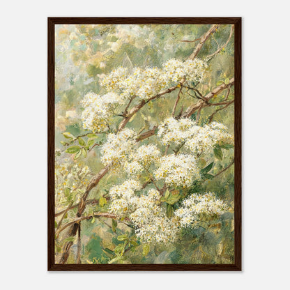 Blooming White Blossoms & Woodland Branches Impressionist Art Print