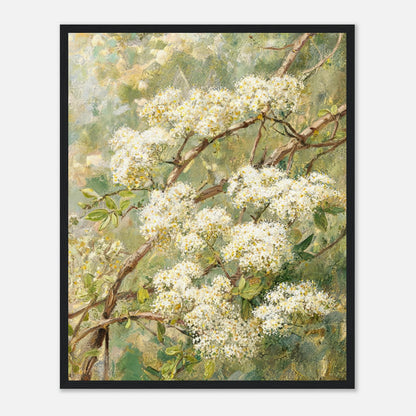 Impressionist White Blossom Branch Framed Art Print