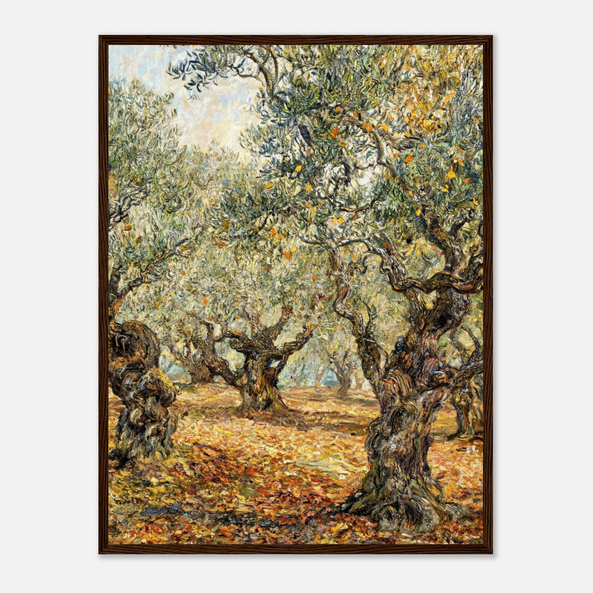 Sunlit Olive Grove Impressionist Art Print