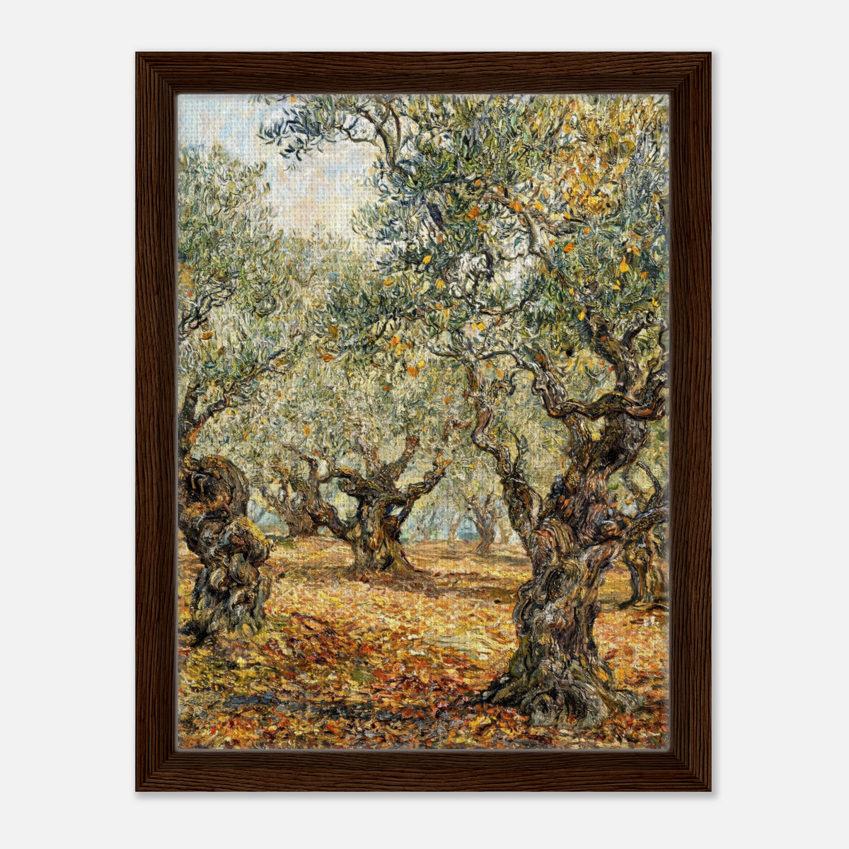 Sunlit Olive Grove Impressionist Art Print