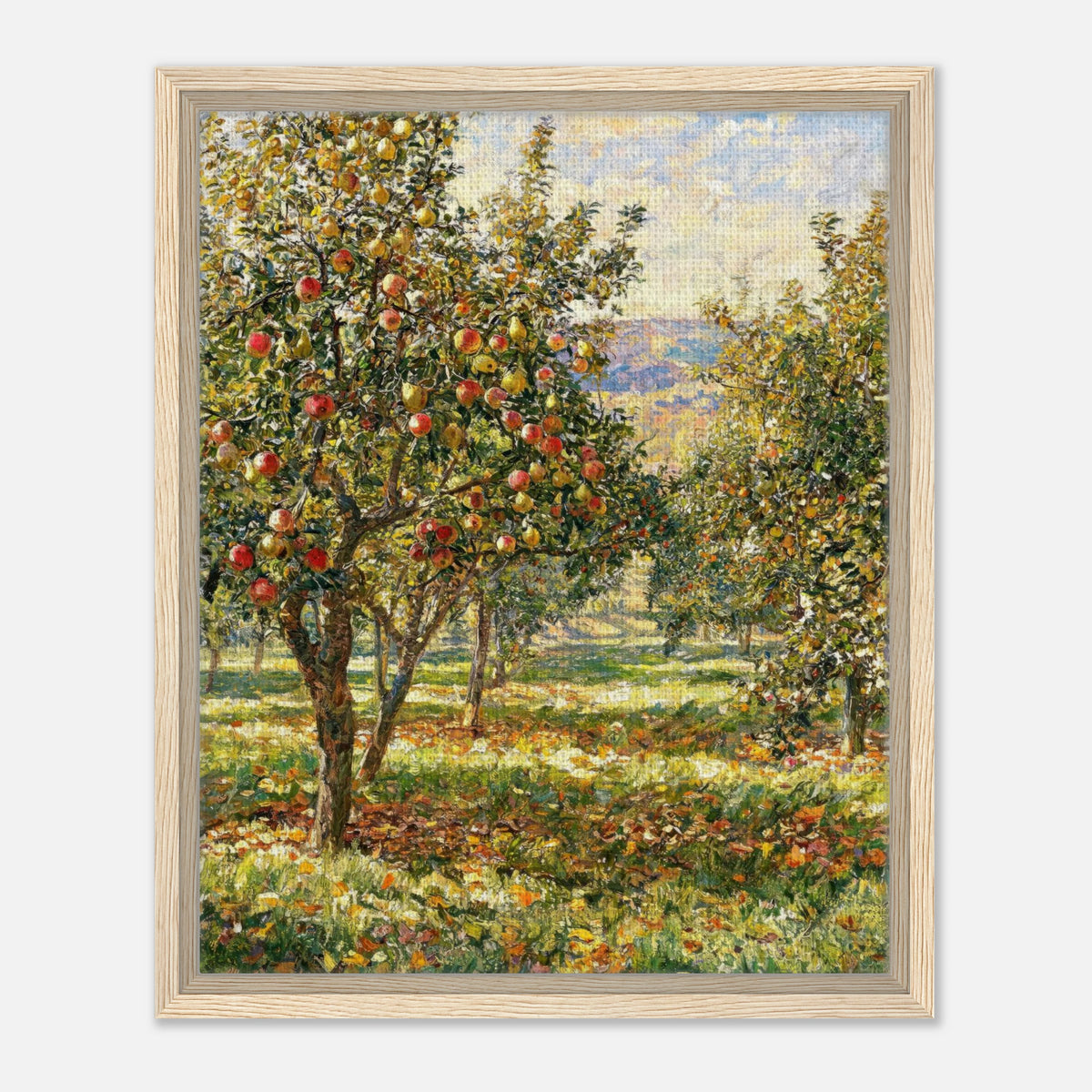 Sunlit Apple Orchard in Autumn Impressionist Art Print