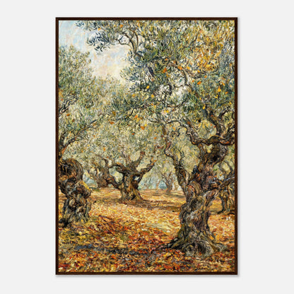 Sunlit Olive Grove Impressionist Art Print