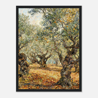 Sunlit Olive Grove Impressionist Art Print