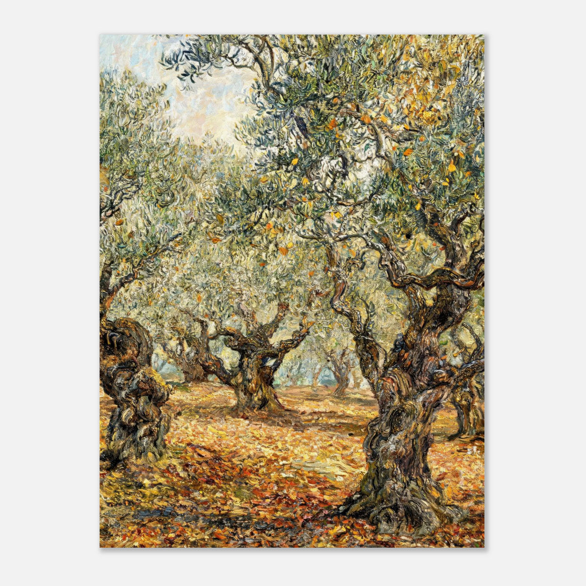 Sunlit Olive Grove Impressionist Art Print