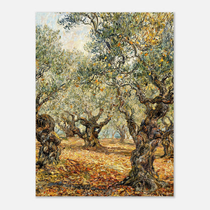 Sunlit Olive Grove Impressionist Art Print
