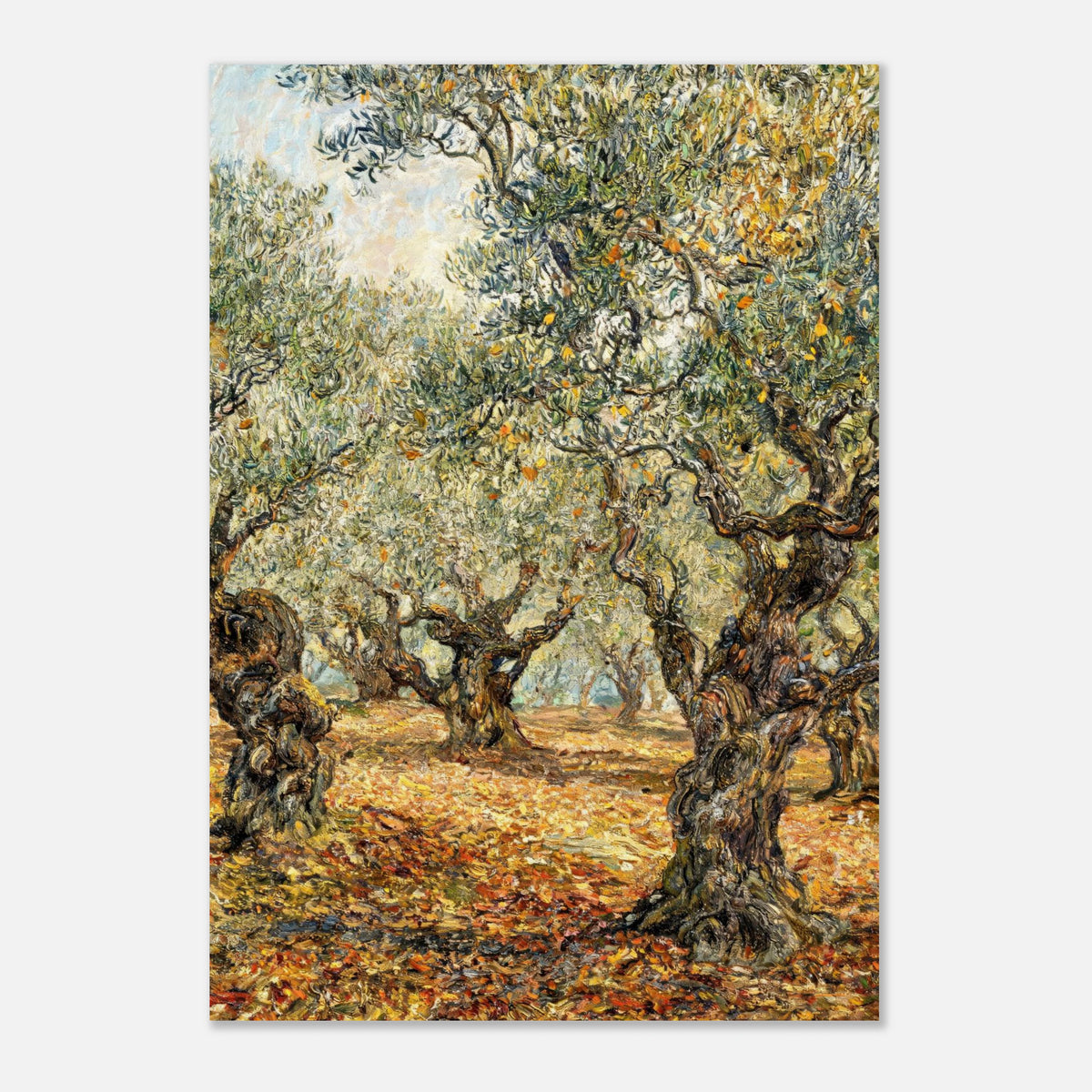 Sunlit Olive Grove Impressionist Art Print