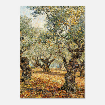 Sunlit Olive Grove Impressionist Art Print