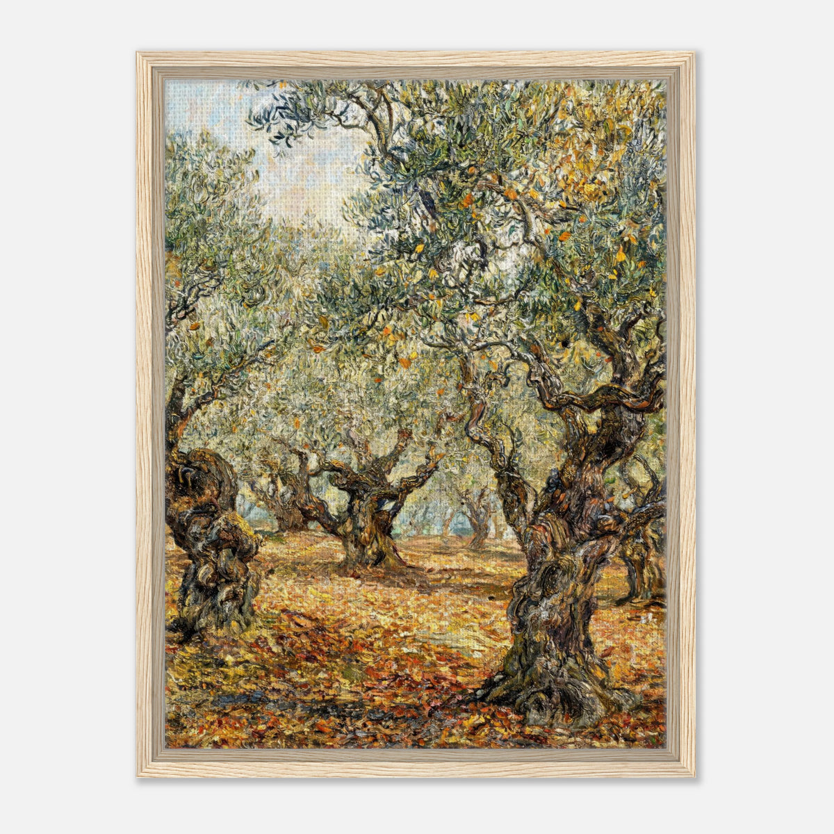 Sunlit Olive Grove Impressionist Art Print