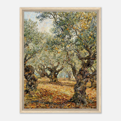 Sunlit Olive Grove Impressionist Art Print