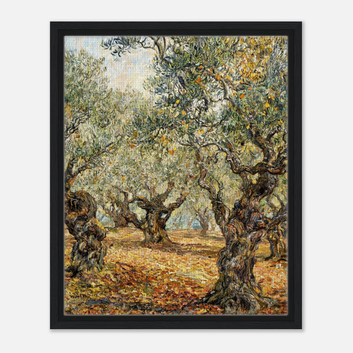 Sunlit Olive Grove Impressionist Art Print