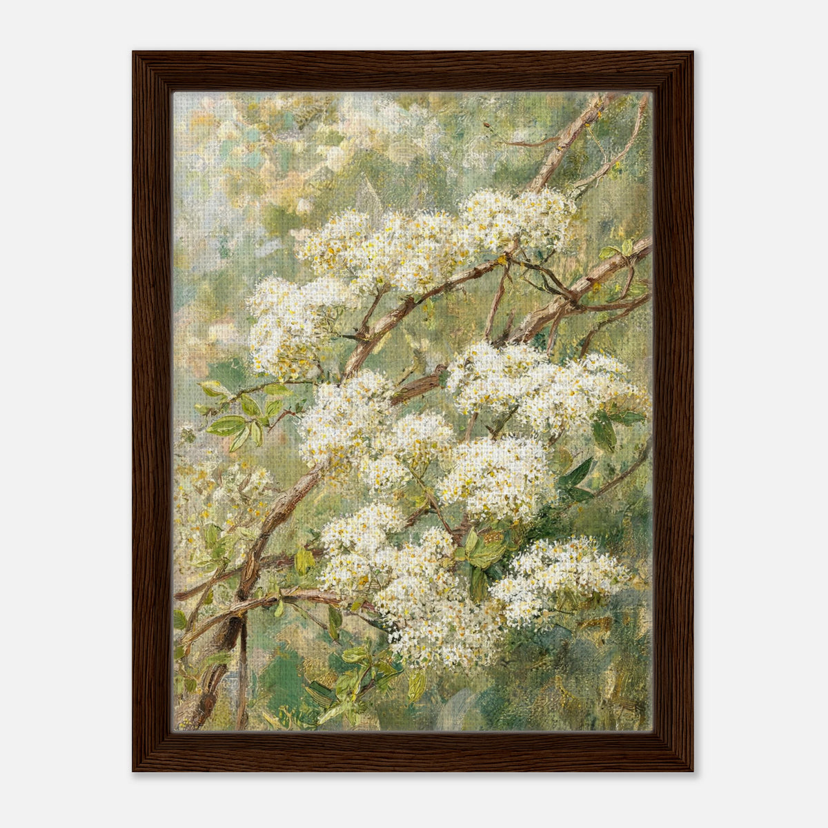Blooming White Blossoms & Woodland Branches Impressionist Art Print