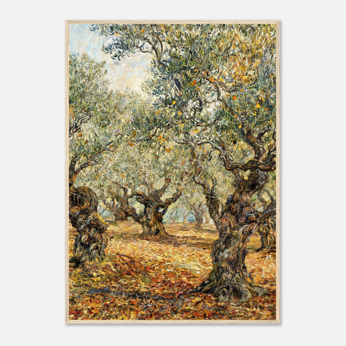 Sunlit Olive Grove Impressionist Art Print