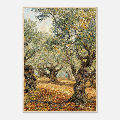 Sunlit Olive Grove Impressionist Art Print