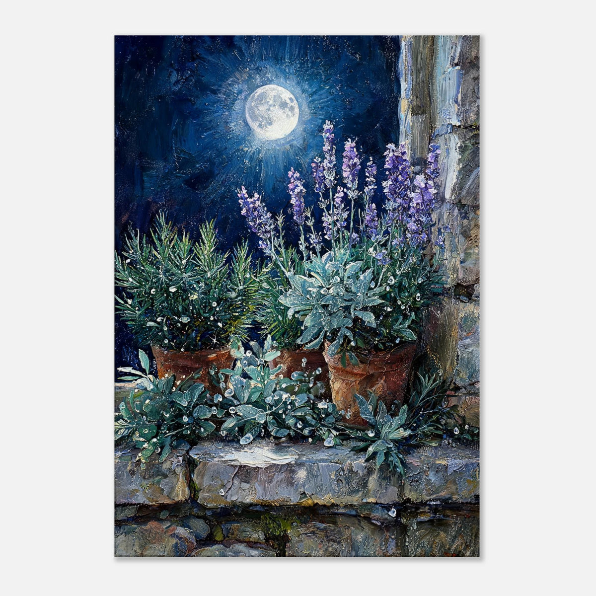 Moonlit Potted Lavender by Stone Window Impressionist Art Print