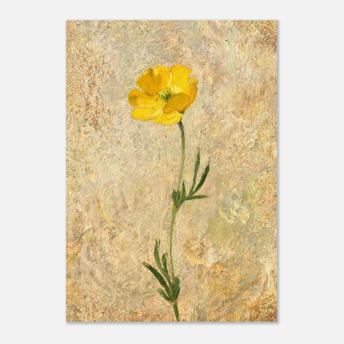 Solitary Yellow Wildflower Impressionist Art Print