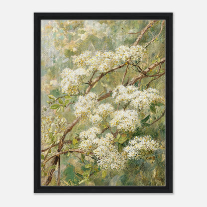 Blooming White Blossoms & Woodland Branches Impressionist Art Print
