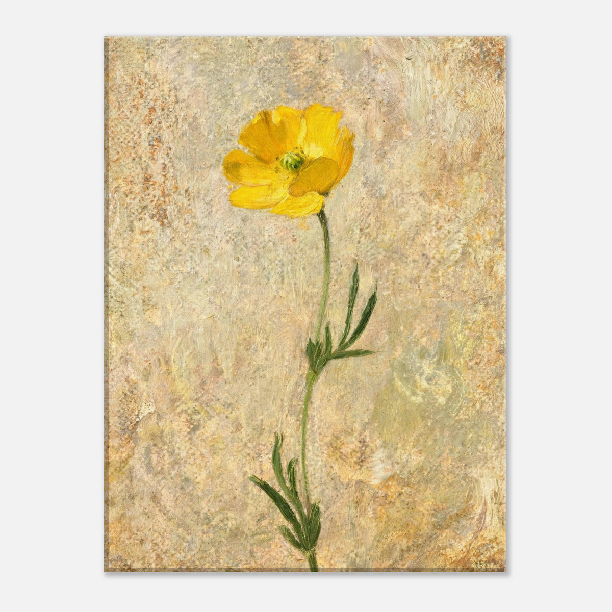 Solitary Yellow Wildflower Impressionist Art Print