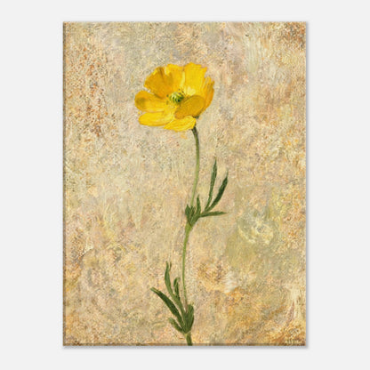 Solitary Yellow Wildflower Impressionist Art Print
