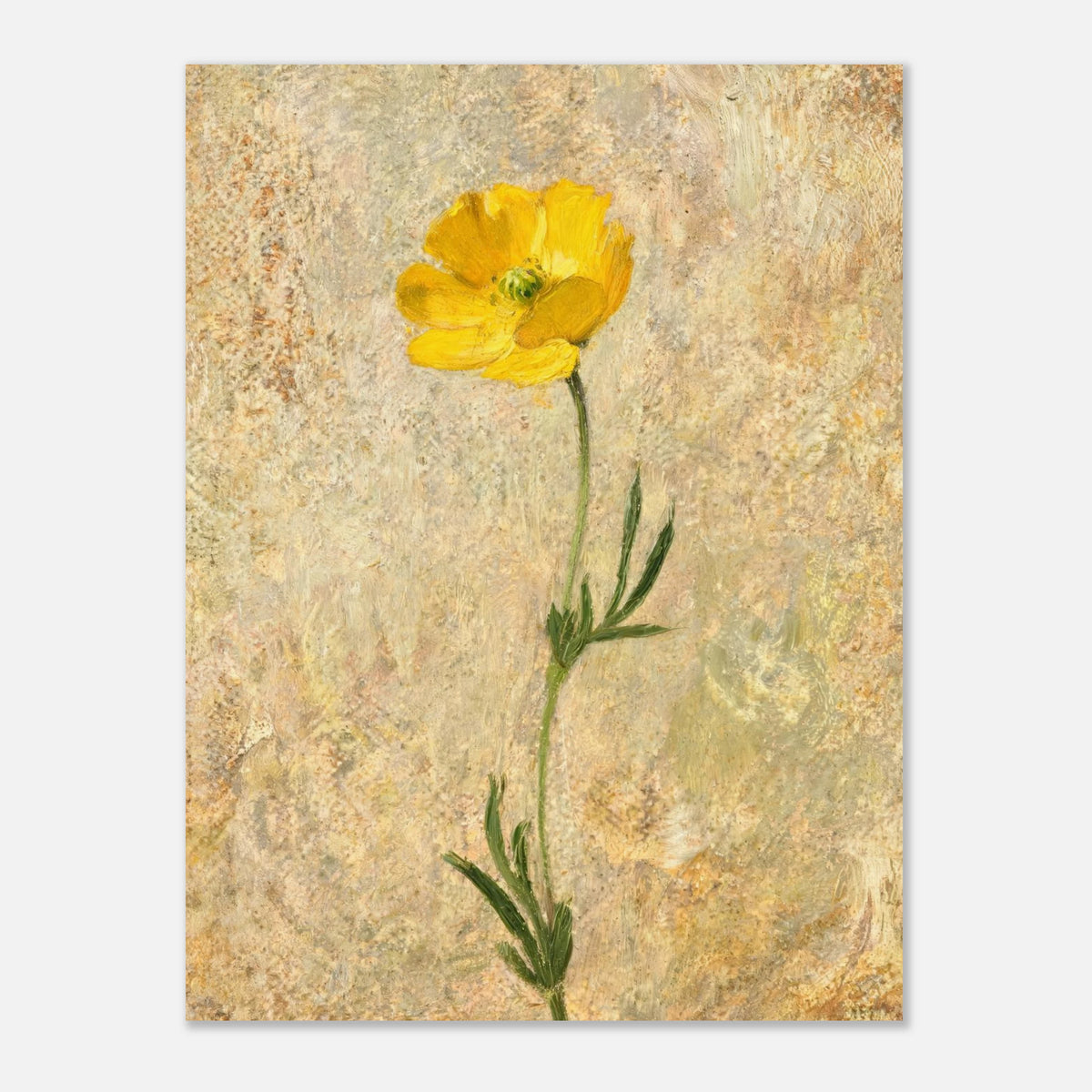 Solitary Yellow Wildflower Impressionist Art Print