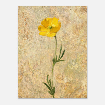 Solitary Yellow Wildflower Impressionist Art Print