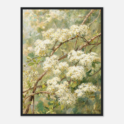 Blooming White Blossoms & Woodland Branches Impressionist Art Print