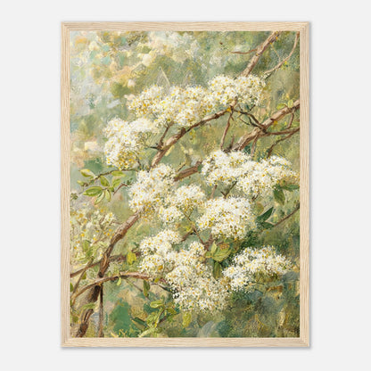 Blooming White Blossoms & Woodland Branches Impressionist Art Print