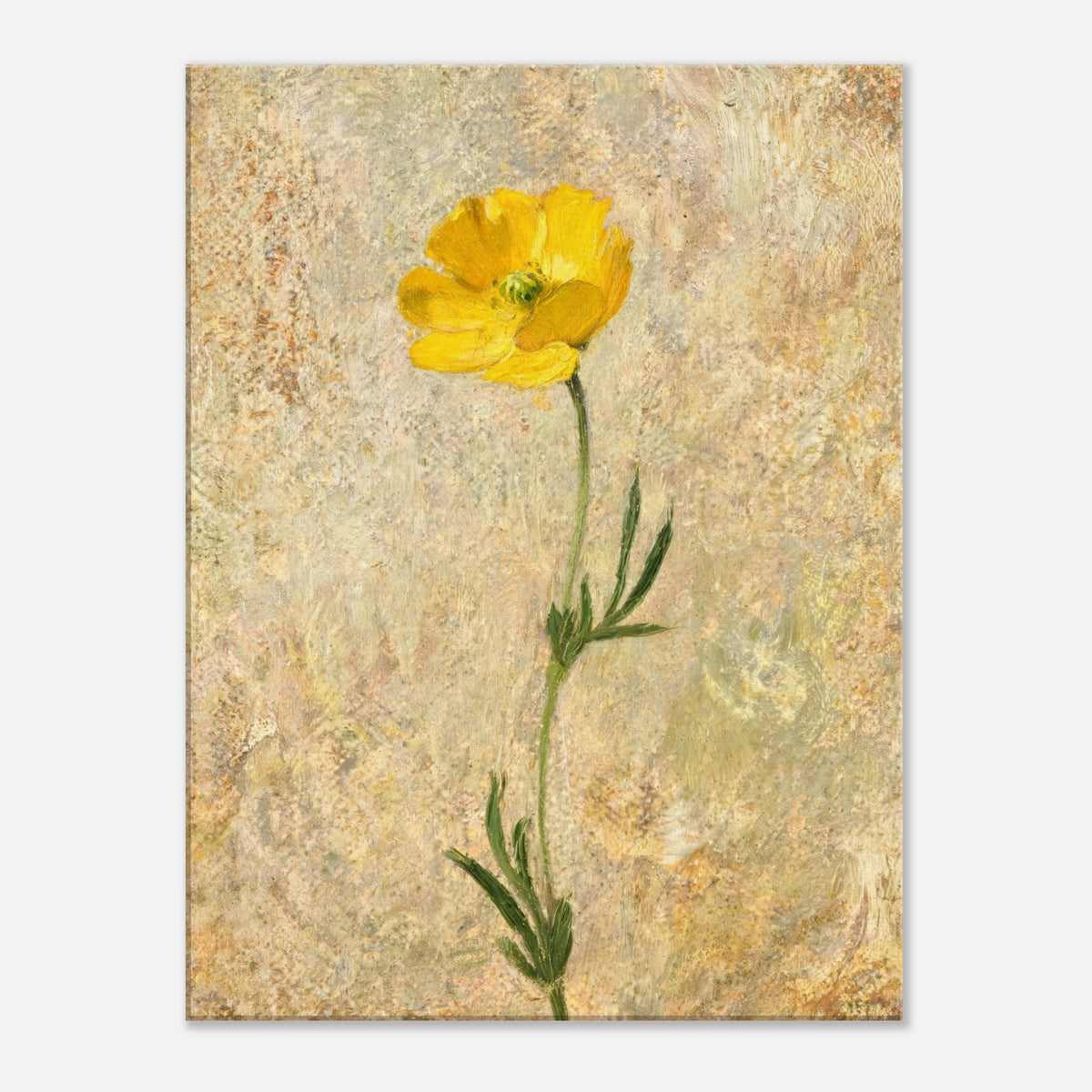 Solitary Yellow Wildflower Impressionist Art Print