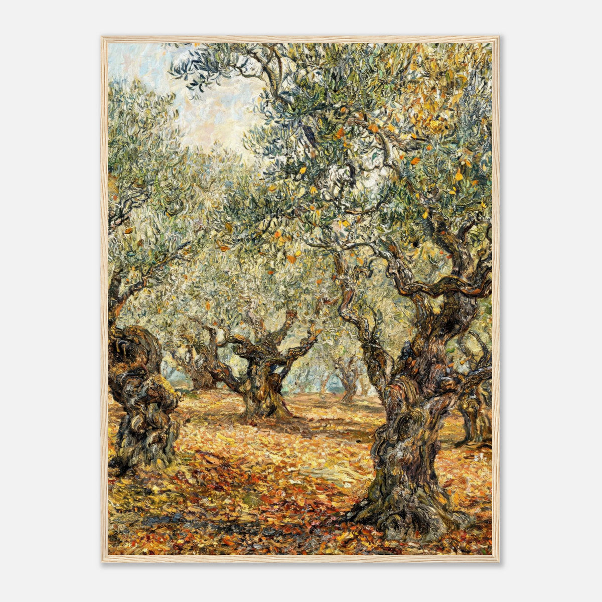 Sunlit Olive Grove Impressionist Art Print