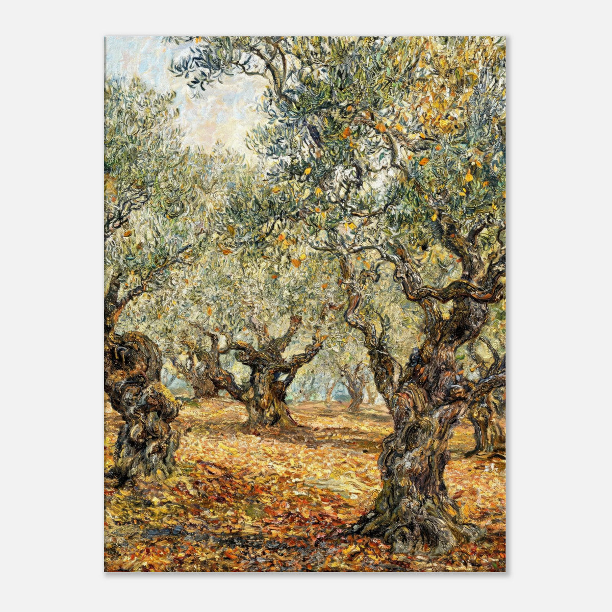 Sunlit Olive Grove Impressionist Art Print