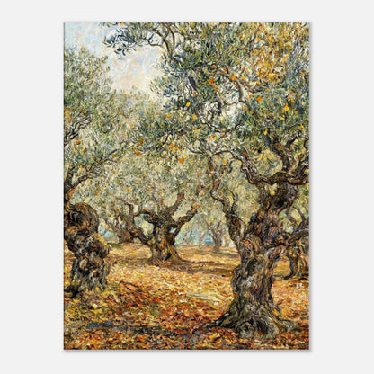 Sunlit Olive Grove Impressionist Art Print