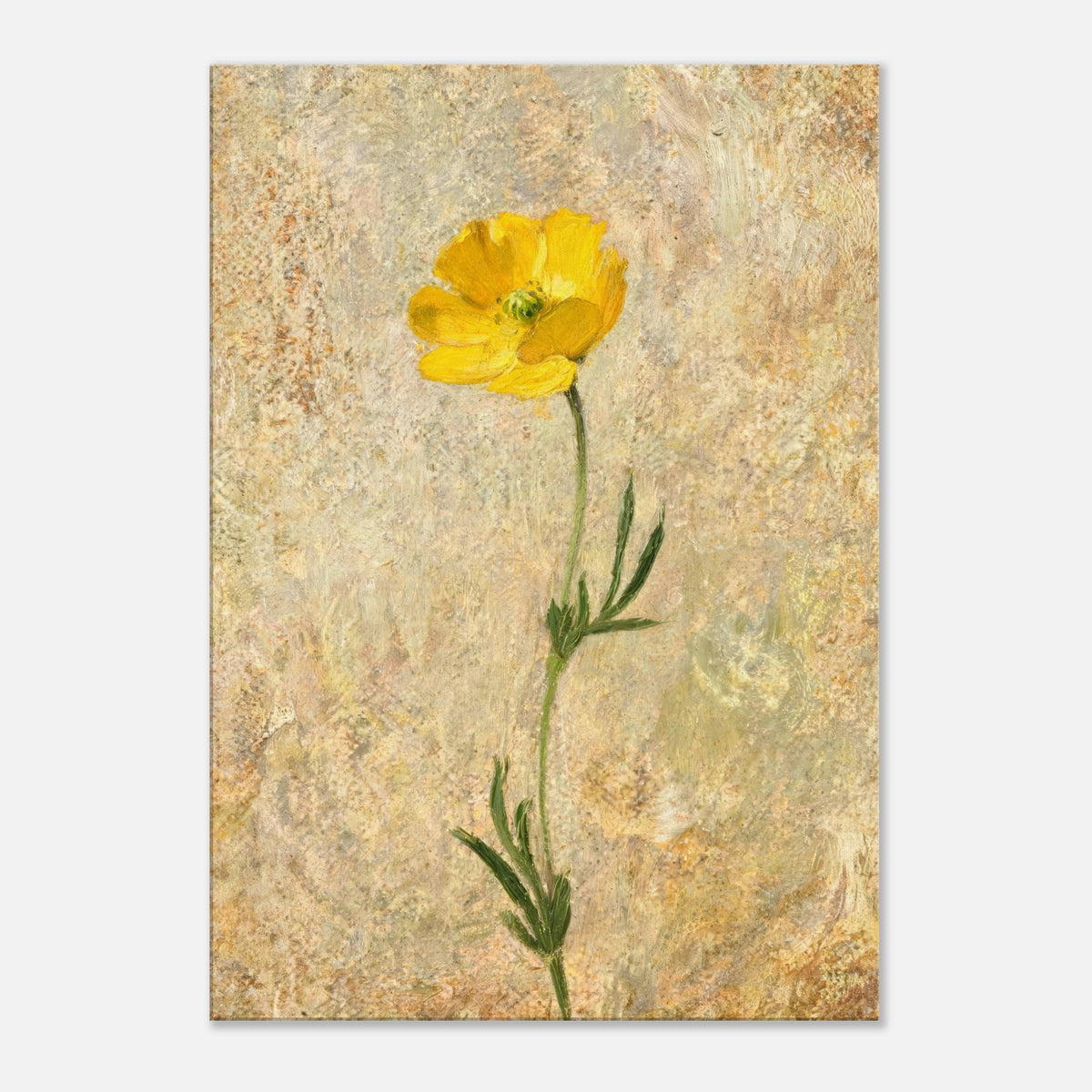 Solitary Yellow Wildflower Impressionist Art Print