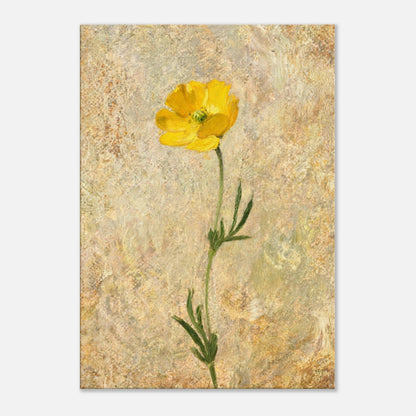 Solitary Yellow Wildflower Impressionist Art Print