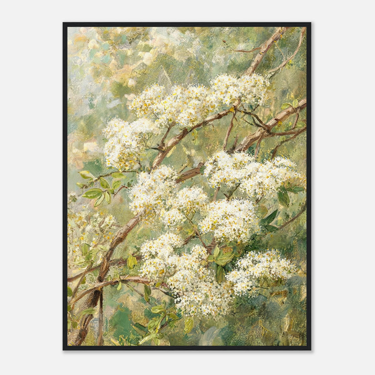 Blooming White Blossoms & Woodland Branches Impressionist Art Print